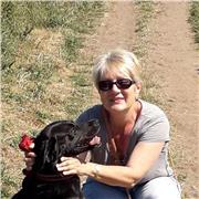 professeure native anglais